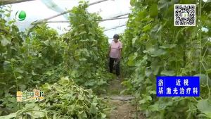 廣陽區(qū)精準(zhǔn)扶貧 開啟老鄉(xiāng)的致富門