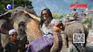 求學旅游迎來小高峰 家長應理性選擇