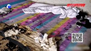 停電后椅子“自燃”差點(diǎn)燒了家？竟是電吹風(fēng)惹的禍