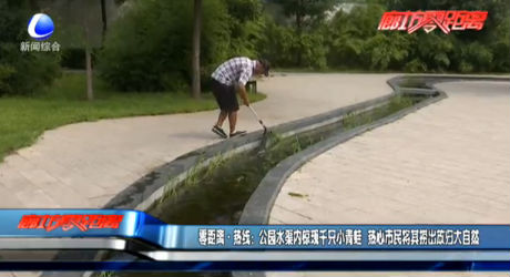 零距離·熱線：公園水渠內(nèi)驚現(xiàn)千只小青蛙 熱心市民將其撈出放歸大自然