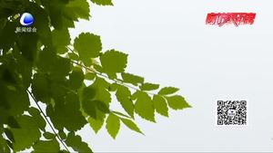 買房后被燃?xì)夤?；列為“黑戶?至今未能開通 業(yè)主心急