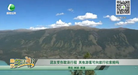 團(tuán)友受傷耽誤行程 其他游客可向旅行社索賠嗎