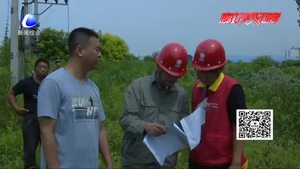 電力部門(mén)集中清理樹(shù)障 保障電網(wǎng)供電安全