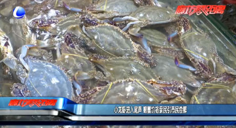 小龍蝦進(jìn)入尾聲 螃蟹價(jià)格親民引市民嘗鮮