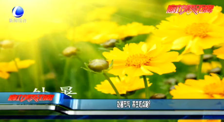 處暑節(jié)氣 養(yǎng)生吃點啥？