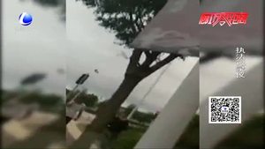 零距離·交通：封閉貨車違法載人 司機(jī)稱沒(méi)看行駛證