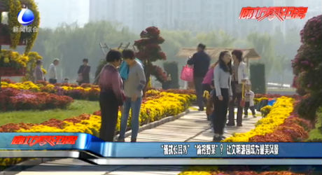 “騷擾長(zhǎng)耳鸮” “偷挖野菜”?讓文明游園成為最美風(fēng)景