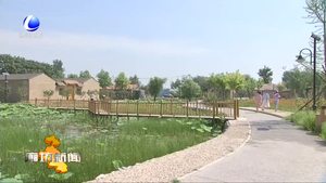 香河縣打造鄉(xiāng)村旅游新體驗(yàn)