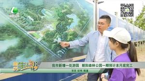 我市新增一處游園 朝陽森林公園一期預計本月底完工