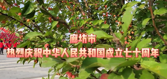 廊坊市組織開展“我和我的祖國(guó)”國(guó)慶快閃活動(dòng)