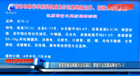 陳家務新品種展示示范項目：鮮食大豆優(yōu)質(zhì)品種臺75-3