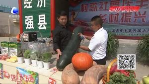 永清縣龍虎莊鄉(xiāng)舉辦“村歌社舞慶豐收 鄉(xiāng)村振興迎華誕”慶?；顒?dòng)