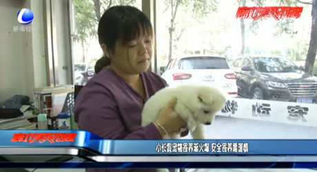 小長(zhǎng)假寵物寄養(yǎng)漸火爆 安全寄養(yǎng)需謹(jǐn)慎