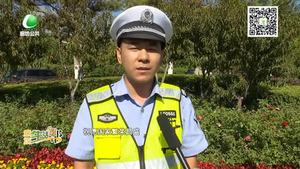 祖國 我想對您說