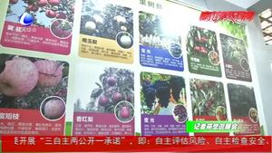 農(nóng)業(yè)插上科技翅膀 新品種新技術(shù)閃耀農(nóng)交會