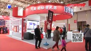 市民文明逛展會 讓文明成為最美風景線