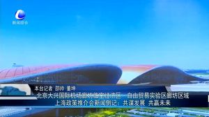 北京大型國際機(jī)場廊坊臨空經(jīng)濟(jì)區(qū)1自由貿(mào)易試驗(yàn)區(qū)廊坊區(qū)域上海政策推介會(huì)新聞側(cè)記：共謀發(fā)展 共贏未來