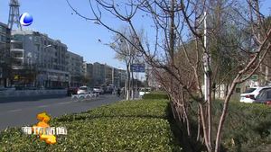 本周氣溫較低 周末或迎來今冬首場降雪