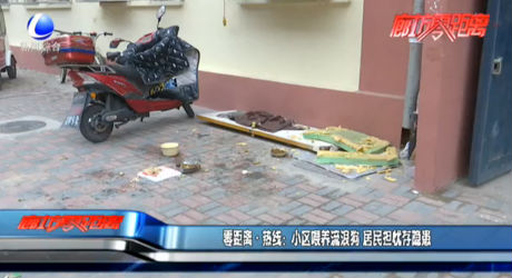 零距離·熱線：小區(qū)喂養(yǎng)流浪狗 居民擔憂存隱患