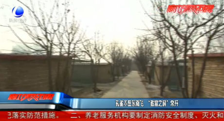 孔雀不在東南飛 “致富之屏”常開