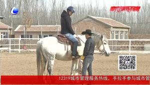 馬術(shù)俱樂部落戶永清韓村 普及國際馬聯(lián)競賽項(xiàng)目——REINING