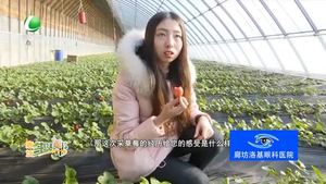 廊坊首屆草莓節(jié)隆重開(kāi)幕