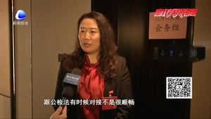 人大代表陸續(xù)報道 懷揣民聲“有備而來”