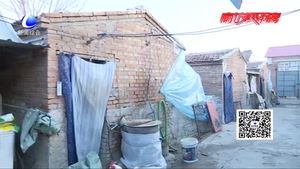 匯聚愛心 傳遞暖流 新春送福走進(jìn)新集鎮(zhèn)任家莊村