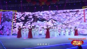 2020年廊坊市春節(jié)聯(lián)歡晚會(huì)——《詩意中國》