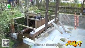 樂(lè)游天下 20200124