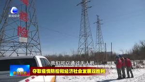 國(guó)網(wǎng)廊坊供電公司加強(qiáng)線(xiàn)路巡檢 防疫供電兩不誤