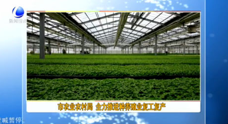 市農(nóng)業(yè)農(nóng)村局 全力推進種養(yǎng)殖業(yè)復工復產(chǎn)