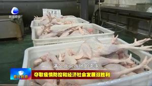 固安迪諾斯環(huán)?？萍加邢薰荆悍馈耙摺鄙a(chǎn)兩手抓 加緊復(fù)工生產(chǎn)