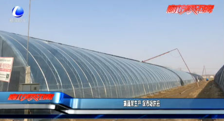 抓蔬菜生產(chǎn) 保市場(chǎng)供應(yīng)