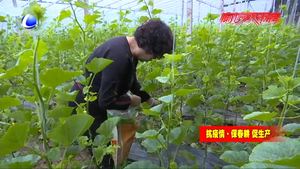 田間地頭忙春耕 不負(fù)春光搶農(nóng)時(shí)