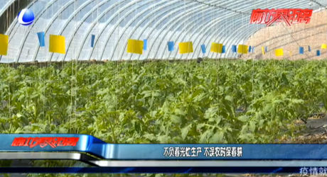 不負(fù)春光忙生產(chǎn) 不誤農(nóng)時(shí)保春耕