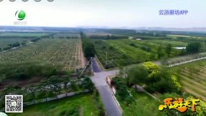 樂(lè)游天下 20200327