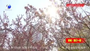 小區(qū)鮮花盛放 文明賞花護美景
