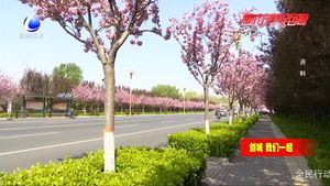 廊坊市召開爭(zhēng)創(chuàng)全國(guó)文明城市工作第二次新聞發(fā)布會(huì)