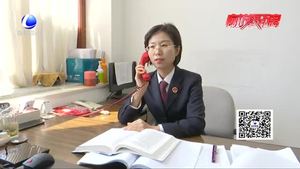 “云端”調解助辦案 “互聯(lián)網+” 模式顯成效