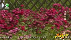 樂(lè)游天下 20200605