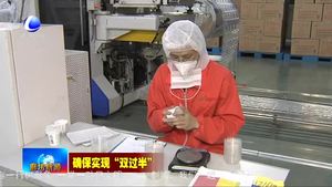 文安縣推進(jìn)創(chuàng)業(yè)就業(yè)工程 激發(fā)市場(chǎng)主題活力