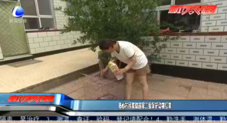 熱心村民救助國家二級保護(hù)動物紅隼