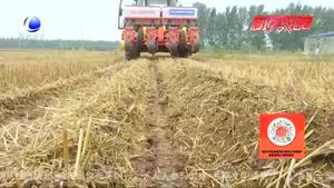 秸稈禁燃新標桿：東張務(wù)村實現(xiàn)秸稈禁燃 機械化作業(yè)來助力