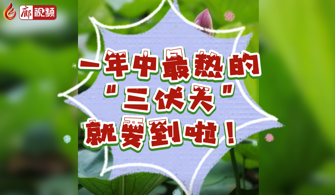 廊視頻|2020年三伏天時間表