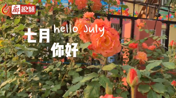 廊視頻 | 六月再見，七月你好