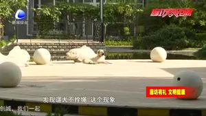 我市開展“文明養(yǎng)犬、愛護環(huán)境”行動  加強養(yǎng)犬管理提升城市形象