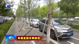 市區(qū)金光道部分路段施劃車位少 車輛無處停