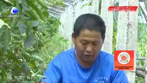 【走向我們的小康生活·決戰(zhàn)決勝脫貧攻堅】永清縣：脫貧攻堅“志”在必得