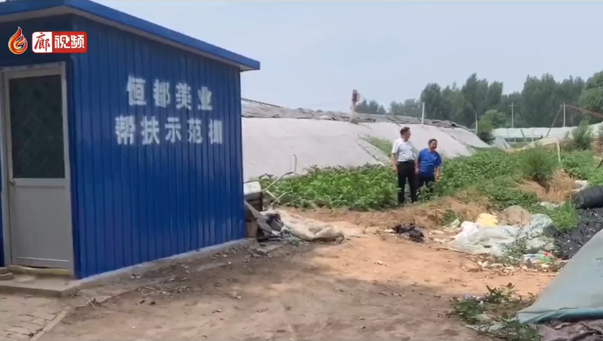 廊視頻 | 永清扶貧 幸福是奮斗出來的